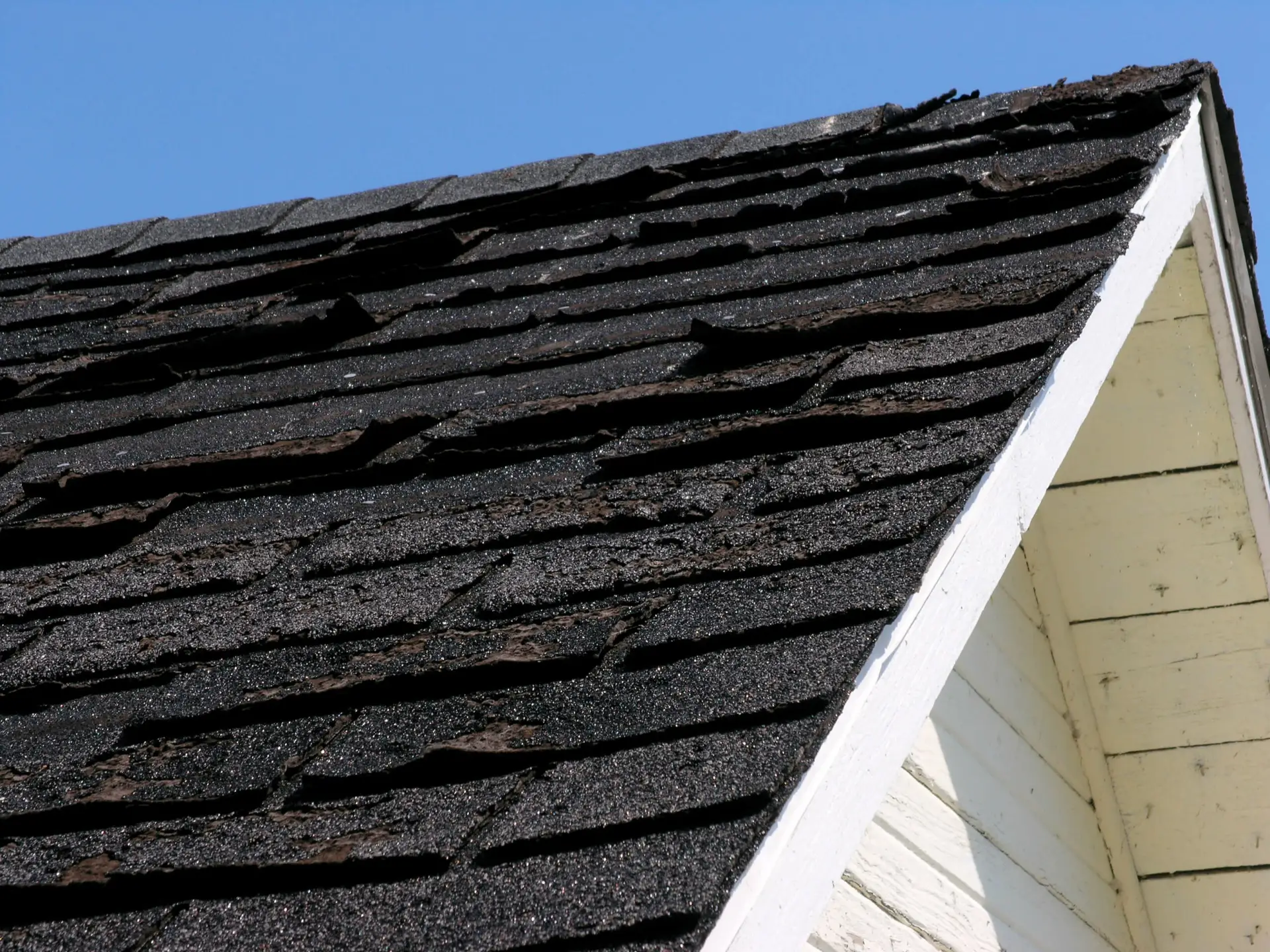 Heat Damaged Shingles from extreme summer tepmeratures