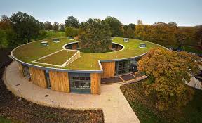 Green Roofing Material
